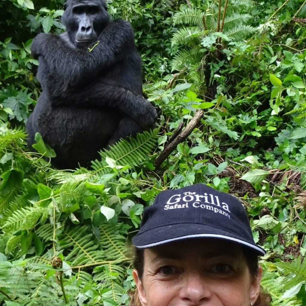 Gorilla selfie
