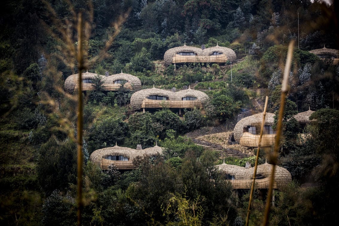 Wilderness Bisate forest villas in Rwanda