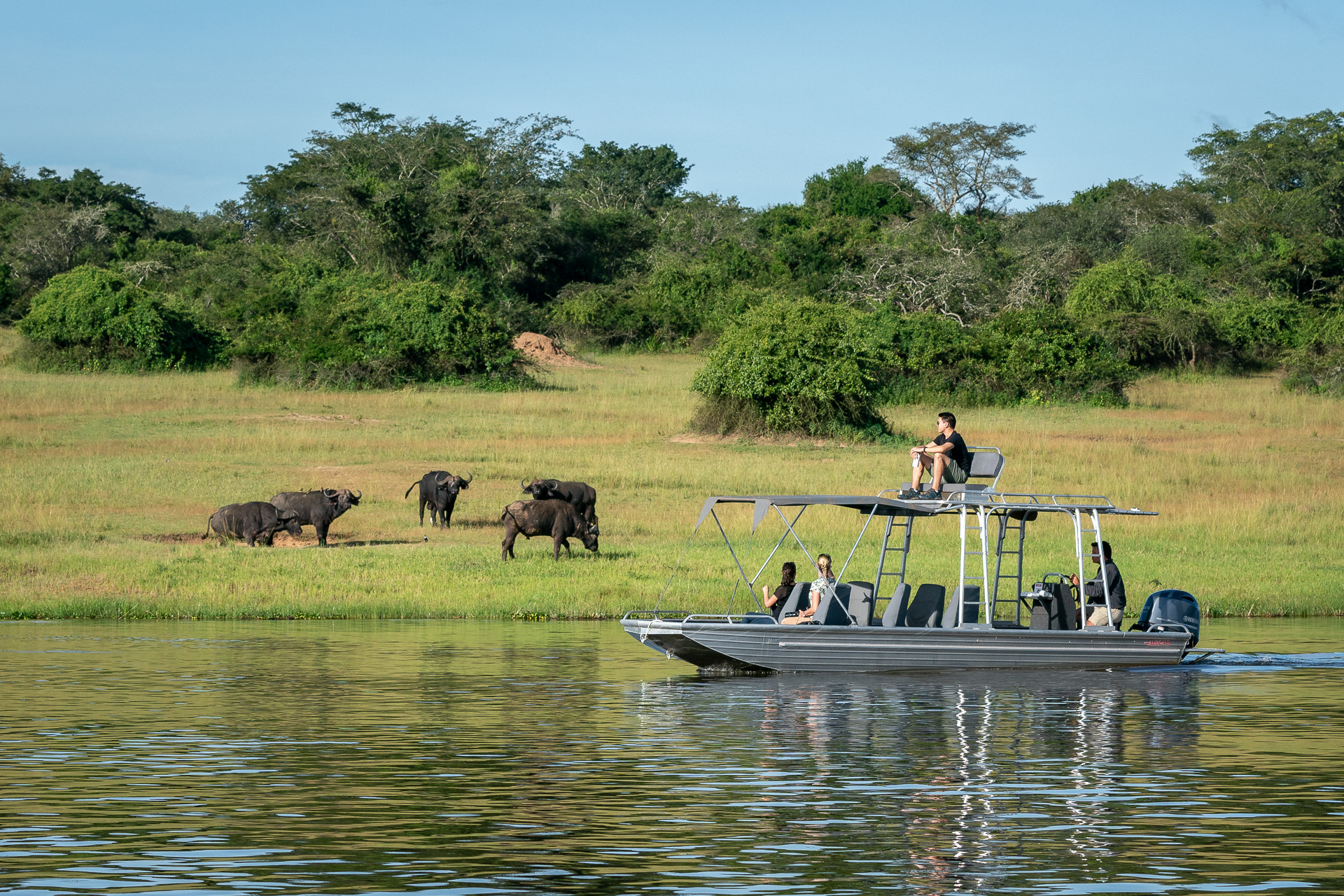 Wildlife safari scene in Akagera National Park, Rwanda