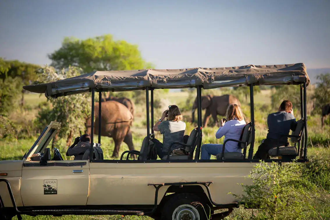 Elephant seen on a game drive in Kidepo Valley National Park, Uganda