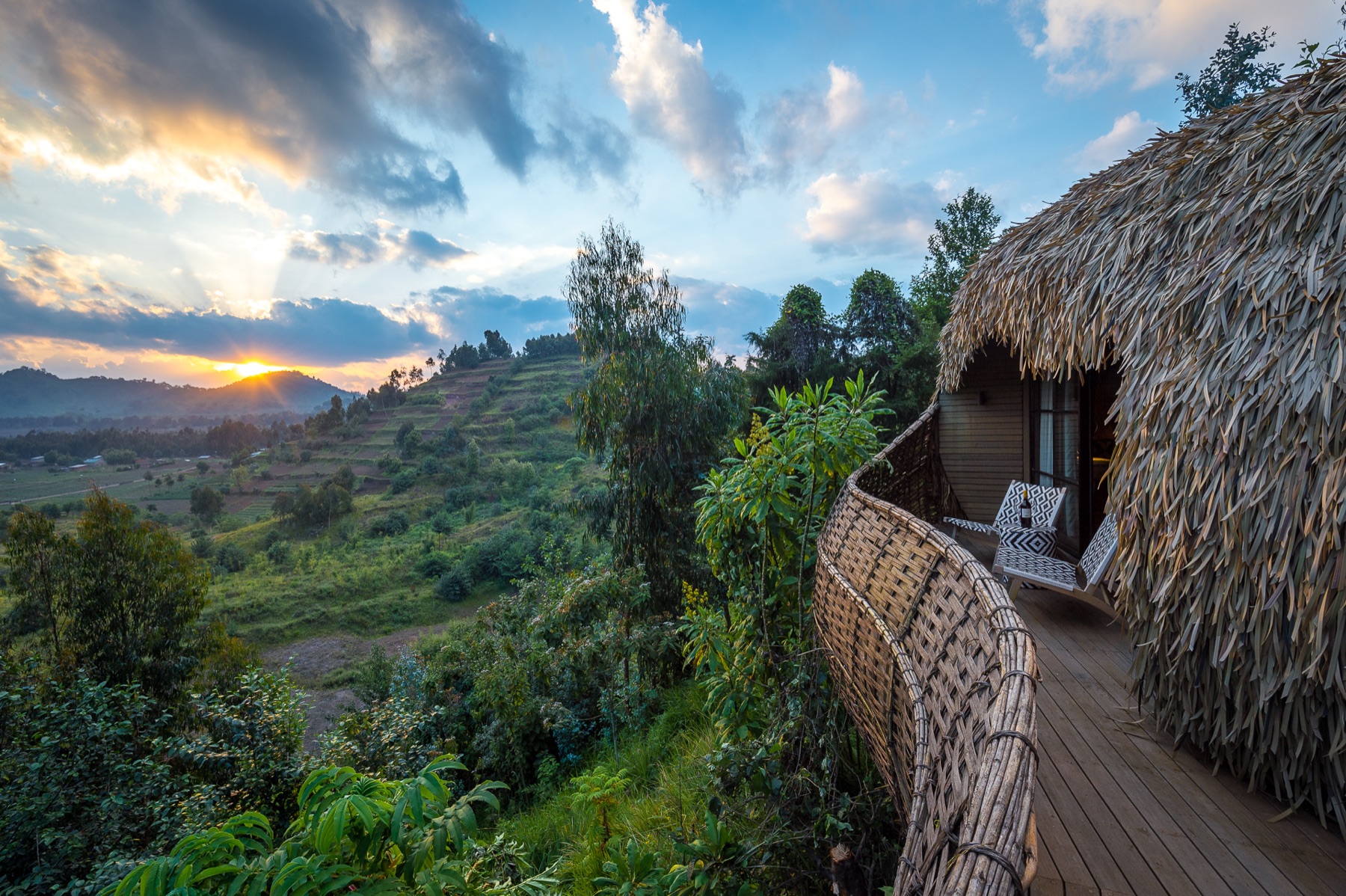 Wilderness Bisate